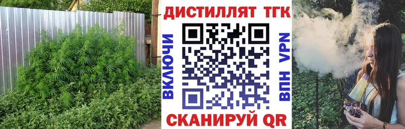 купить  сайты  Кострома  Дистиллят ТГК THC oil 